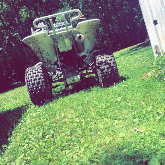 Meet your Posher, Corey - Picture 1 of 1